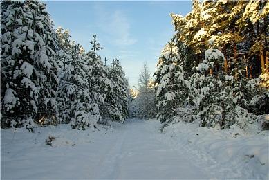 乐队管理游戏《Rockbeasts》Steam页面上线 2025年推出